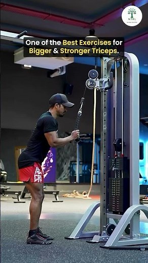 Exercise Series 04 | Triceps Rope Pushdown