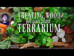 Gather Some Branches & Make Wood For Your Terrarium! DIY Terrarium Wood