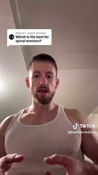 Effective Techniques for Spinal Erectors Training
