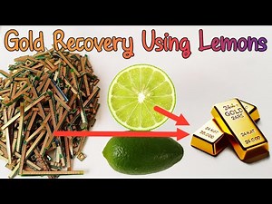 Gold Recovery Using Lemons | Can You Recover Gold with Lemons?
