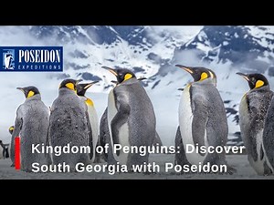 Sailing to the Wild: South Georgia with Poseidon Expeditions