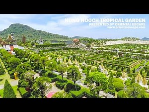 PATTAYA Nong Nooch garden