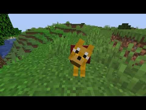 Minecraft Datapack Tutorial; How To Add Custom Wolf Variants 24w10a+
