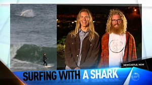 24K views · 266 reactions | "I'm not too stressed, it happens" We chat to the very chill Daniel and Nathan about their close encounter with a shark! #TheProjectTV | The Project | Facebook