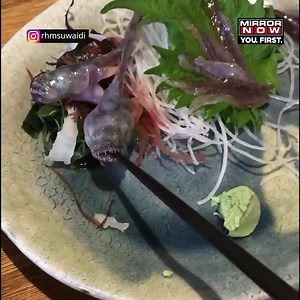 1.4M views · 8.5K reactions | What if the fish you were about to eat opened its mouth? Sounds like a nightmare? Well, this is exactly what happens. Take a look! . . . . #video #viral #viralvideo #viralnews #trending #trendingnews #fish #meal | Mirror Now | Facebook