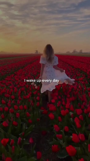 Aesthetic Song Lyrics Compilation for Beautiful Mornings | TikTok