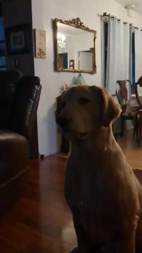 Kimberly Clark on TikTok