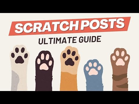 BEST CAT SCRATCH POSTS | Ultimate Guide (with Cat Scratcher Reviews!)