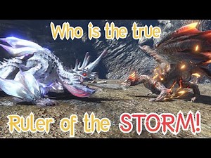 Risen Kushala VS Ibushi When Storms Collide Turf War Deathmatch Monster Hunter Rise Sunbreak