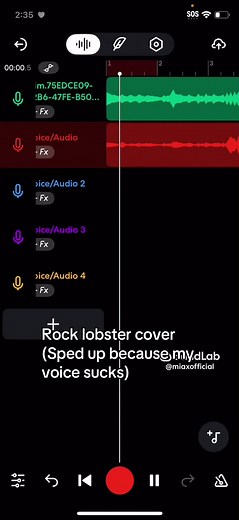 Rock Lobster Cover: A Fun and Relatable Take