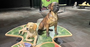 Learning more about human’s best friend at Discovery Place Science