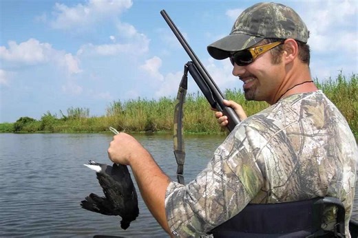 Change of Pace: How to Hunt Rails and Gallinule - Game & Fish