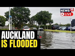 People Evacuated As Heavy Rain Floods Parts Of Auckland | Auckland Flooding 2023 | English News LIVE