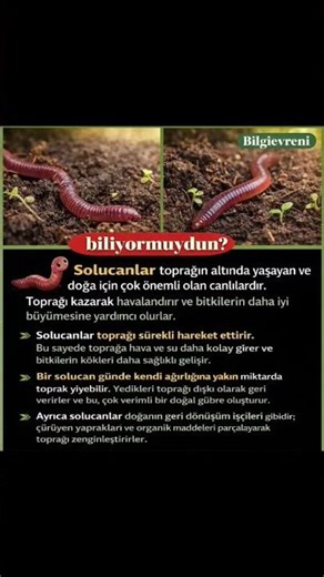 BEGENİ TAKİP HORUM