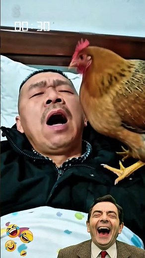 Try Not To Laugh! 😂 Best Funny Fails & Hilarious Moments Compilation 2026
