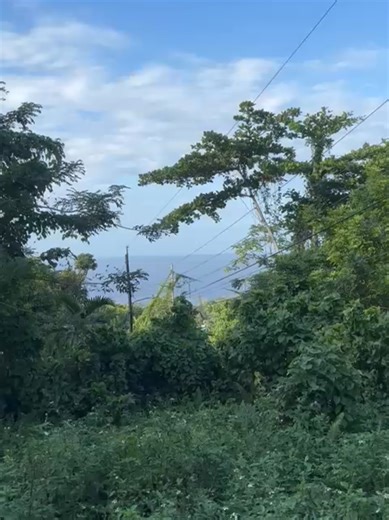 Williamsfield, Drapers, Portland Land with Incomplete Building for SALE $13,000,000 JMD Coming soon... Almost 1/4 acre lot with incomplete building in Williamsfield, Drapers, Portland, just 2 minutes from the highway and 10 minutes from Port Antonio with all major amenities. The property has decent views of the ocean and is surrounded by extravagant houses. Portland has a plethora of attractions and hidden delights, making it an ideal place to construct your primary residence, vacation property 