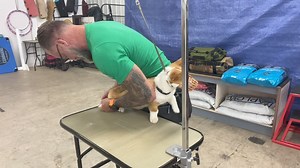 34K views · 415 reactions | Day 7 with Honey. The nails need to be...