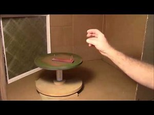 Quick and Easy Homemade Spray Paint Booth