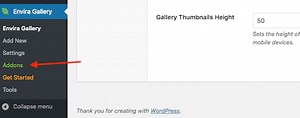How to activate Addons - Envira Gallery
