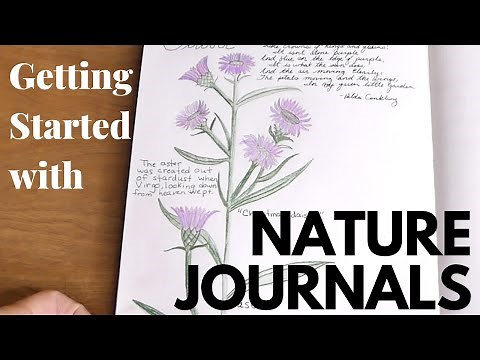 GETTING STARTED WITH NATURE JOURNALS// CHARLOTTE MASON HOMESCHOOL