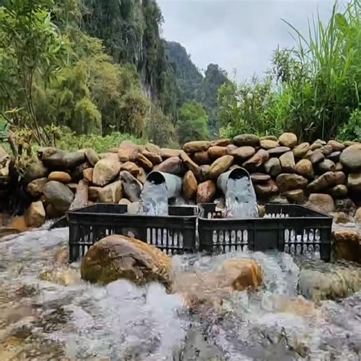 105K views · 2K reactions | Surprising Results! Creative PVC Pipe Fish Trap Catches a Big Haul #camping #survival #bushcraft #outdoors #lifehacks | Daily maza | Facebook