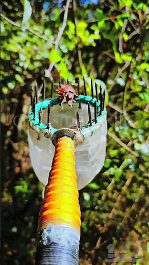 DIY Long‑Reach Fruit Picker from Plastic Bottle | Homemade Harvest Tool