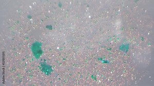 Microzyme whole mount under microscope 100x filmed with cross light. Concentration of tiny green bacteria filmed in macro under oblique lighting. Learning structure and cell of ferment microorganisms