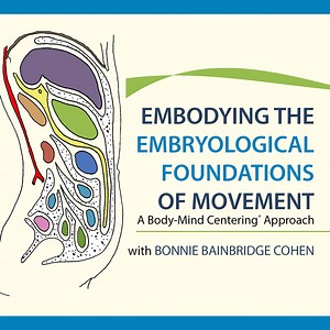 Embodying the Embryological Foundations of Movement
