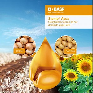 Stomp® Aqua ile yabancı ot mücadelesinde, mahsulünüz yarışa önde başlar! Ayçiçeği, pamuk ve fasulyeye karşı rekabet eden hem dar hem de geniş yapraklı yabancı otları Stomp® Aqua ile durdurun. Geliştirilmiş formülü ile her damlada güçlü etki! Stomp® Aqua hakkında daha fazla bilgi için tıklayın: https://on.basf.com/3jbnYqe #BASFTarımÇözümleri #StompAqua #YabancıOt #Stomp #Pamuk #Ayçiçeği #Fasulye BASF Tarım Çözümleri ürünleriyle ilgili sorularınızı satış ekibimize ve/veya teknik ekibimize sormak i