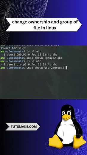 Change Ownership and Group of File in Linux #command #linux #change #owner #group #file #commandline