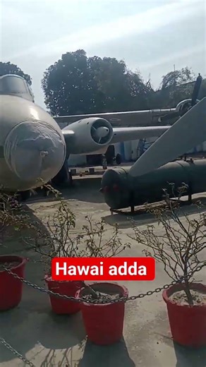 hawai adda #viralshort #video