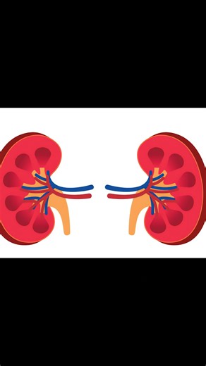 how to take creatine for beginners, how to use creatine, creatine for beginners, how to use creatine effectively, creatine guide for beginners, how to take creatine, best creatine to use, how to take creatine monohydrate, how to take creatine monohydrate powder, best creatine for muscle gain, safe creatine use, how creatine works, creatine benefits for muscle building, when to take creatine before or after workout, is creatine bad for you, how does creatine work, does creatine cause baldness | D