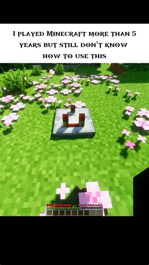 Minecraft Still Don't Know 😭