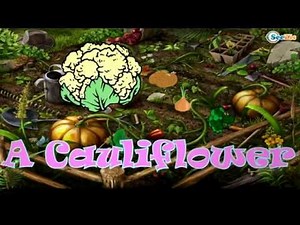 Educational cartoons - To The Garden for children - Smarty Pants