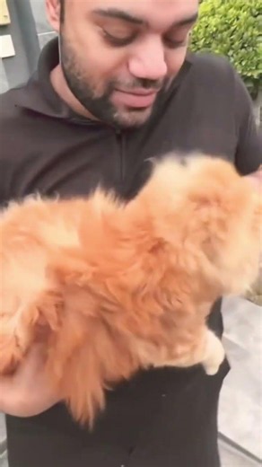 Ducky Bhai new vlog #duckybhai #aroobjatoi #duckybhaivlogs #shorts #ytshorts