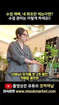 Must-See How to Keep Hydroponic Plants from Rotting for Beginner Plant Owners!!