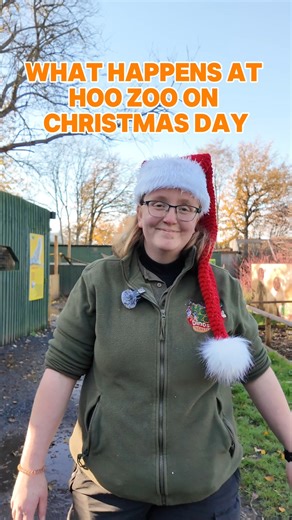 Ever wondered who looks after the animals on Christmas Day? 🎄🦜 | Hoo Zoo and Dinosaur World