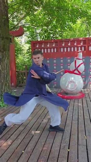 Wudang Fu Chen 拂尘 | Traditional Training