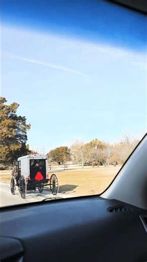 AMISH BUGGY ON THE ROAD