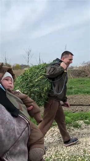 ПЕТРОВЧАНКА ЛЕРА petrovchanka_lera #garden #жизньзагородом #огород #shorts