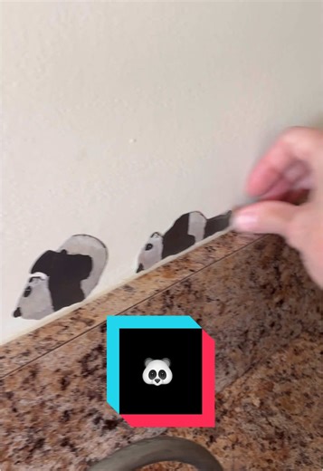 Panda Wall Decals: Easy to Apply and Remove