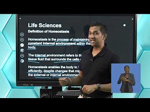 Life Sciences Grade 12 Homeostasis & Coordination