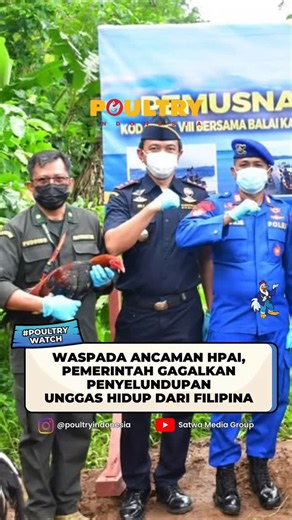 Poultry Indonesia on Instagram: "Pemerintah kembali menunjukkan kewaspadaannya terhadap ancaman penyakit flu burung Highly Pathogenic Avian Influenza (HPAI). Tim patroli TNI Angkatan Laut berhasil menggagalkan upaya penyelundupan unggas hidup asal Filipina di perairan sekitar alur masuk pelayaran Kota Bitung, Sulawesi Utara, Rabu (31/12/2025). Komandan Komando Daerah TNI Angkatan Laut VIII, Laksamana Muda TNI Dery Triesananto Suhendi, menjelaskan bahwa kapal yang ditahan merupakan perahu kecil t