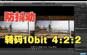 catalyst browse 修正抖动视频并输出 10bit 422 视频