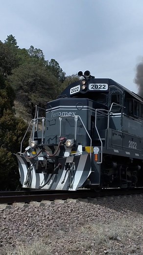 El Chepe Express comenzó su recorrido en mayo del 2018, ofreciendo a los pasajeros una experiencia de viaje única, al transitar en medio de lugares inigualables, sólo accesibles por la vía del ferrocarril. | Chepe Express