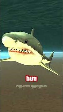 How Sharks Changed in GTA Games Over the Years!