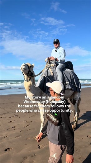 Life’s always an adventure 🐪