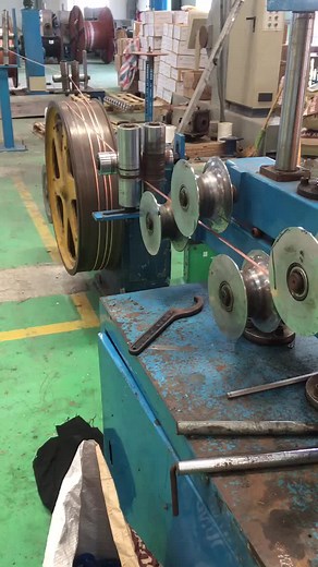 Licardo trên TikTok