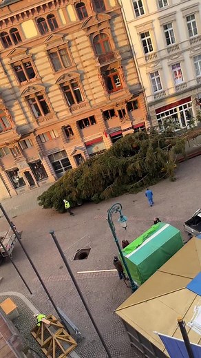 7.1K views · 548 reactions |  Seit heute steht unser Weihnachtsbaum auf dem Schlossplatz - und Wiesbaden wird immer mehr zur Weihnachtsstadt. Ab Dienstag, 25. November, geht es mit dem Sternschnuppen-Markt und dem Kindersternschnuppenmarkt los. In der gleichen Woche startet auch „Wiesbaden on Ice“ auf dem Bowling Green und das Riesenrad mit der Winterstubb auf dem Mauritiusplatz. | Landeshauptstadt Wiesbaden | Facebook