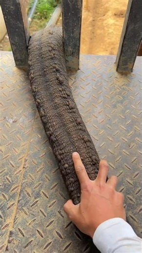 पापा ने सांप को हाथ से पकड़ लिया ll Carriage House wooden artist ll #cartoon #shortvideo